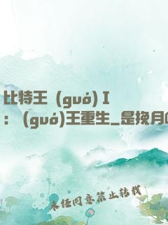 比特王國(guó)Ⅰ: 國(guó)王重生